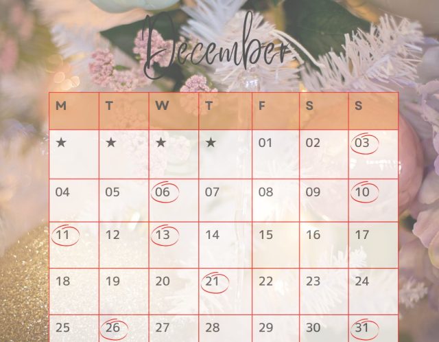 12月の休み/11月20日からの予約状況