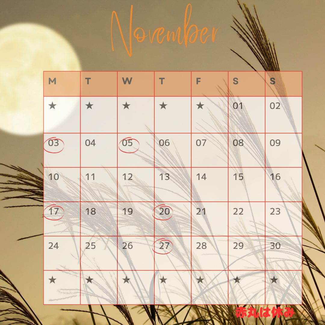 2025年11月のサロンスケジュール