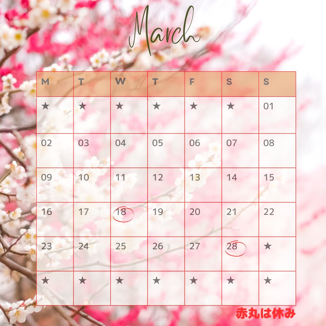 2026年3月のサロンスケジュール